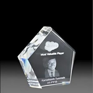 BC-G-230 Crystal Exclusive Trophy – 7 Inch