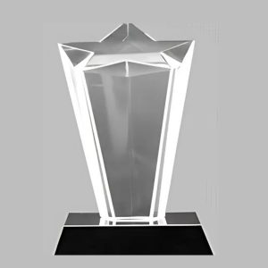 BC-G-231 Crystal Exclusive Trophy – 8 Inch