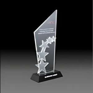 BC-G-240 Crystal Exclusive Trophy – 9 Inch