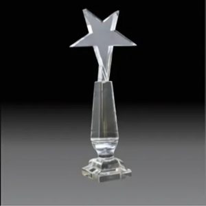 BC-G-298 Crystal Exclusive Trophy – 14 Inch