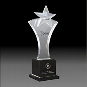 BC-G-303 Crystal Exclusive Trophy – 10 Inch