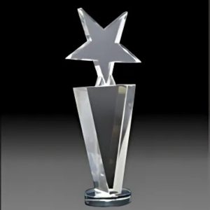 BC-G-309 Crystal Exclusive Trophy – 13 Inch