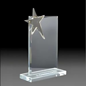 BC-G-334 Crystal Exclusive Trophy – 7 Inch